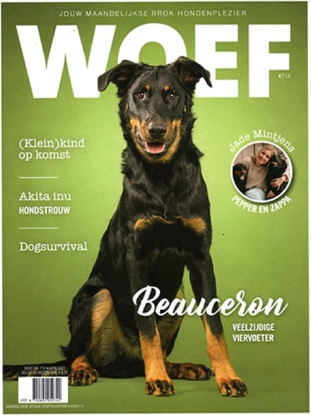 Woef - 713 2023