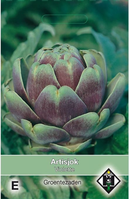 Van Hemert Zaden - Artisjok Violette 2 gram