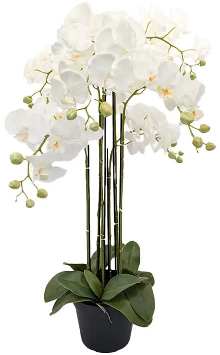 Orchidee Kunstplant 6-tak 88 cm - Wit