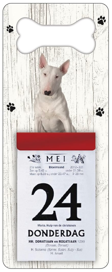 Scheurkalender 2027 Hond: Bull Terriër