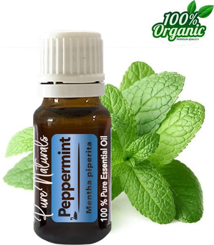 Healing - Pepermunt 10 ml - etherische olie