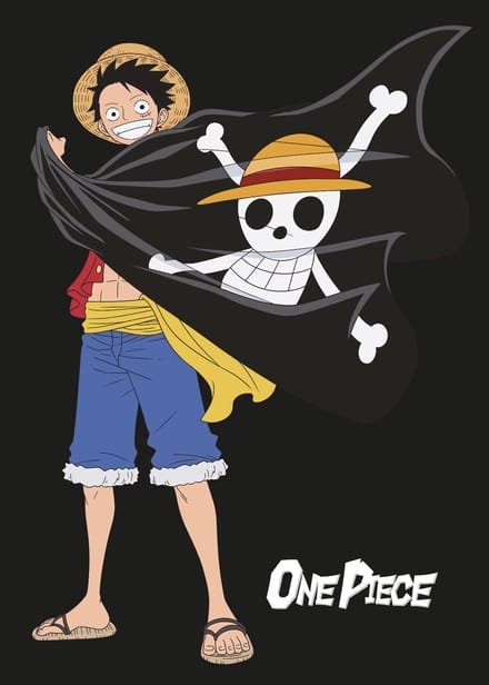 One Piece Flanellen Deken 110X150cm