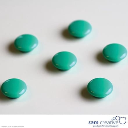 Sam Creative Glassboard Whiteboard Magneten - Rond - Extra sterk - 20 mm - Groen - 6 stuks