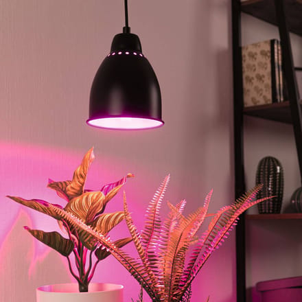 Neordic Hanglamp Hilla E27 max. 40W Zwart dimbaar Metaal