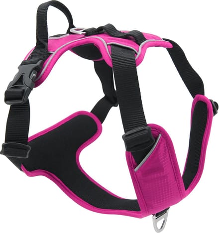 Jack And Vanilla - Tuigjes - Expedition Tuigje - Fuchsia - Xl Expha4250 - 174841