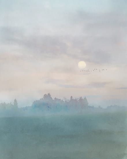 Fotobehang - Hazy Hush 200x250cm - Vliesbehang
