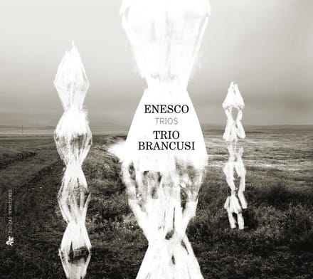 Trio Brancusi - Trios (CD)