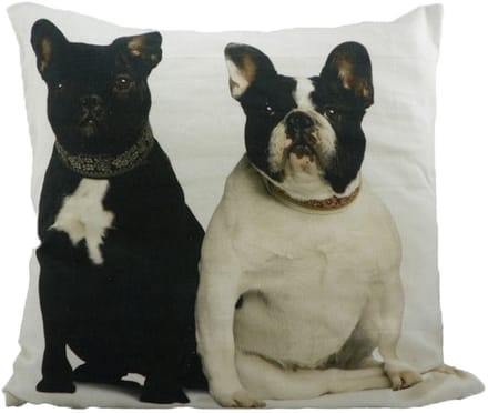 canvas kussen franse bulldogs 50x50cm*