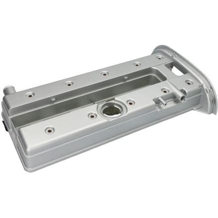 Cilinderkop afdekking VAICO V40-2491