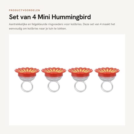 Dailygoods- Kolibrievoeder 4-delig - Handheld Voeder - Compact - Multifunctioneel - Plastic - Aantrekkelijk voor Kolibries - Vogelfeeder