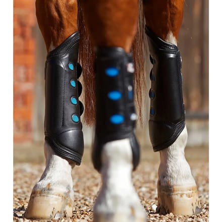 Achterlaarzen voor paarden Premier Equine Air Cooled Original Eventing
