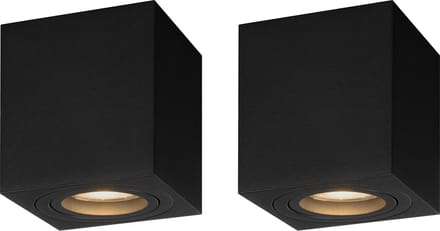 Ledvion - 2X LED Opbouwspots - Dimbaar - 3W - 2700K - Zwart
