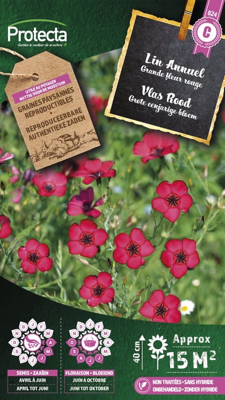 Protecta Bloemen zaden: Vlas Rood | Linum grandiflorum