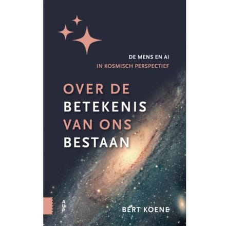 Over De Betekenis Van Ons Bestaan - Bert Koene