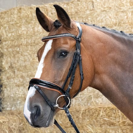 Gecombineerd hoofdstel met neusriem Harry's Horse