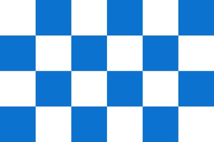Vlag Dalfsen 30x45cm