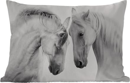 Buitenkussens - Tuin - Paard - Dieren - Portret - Wit - 50x30 cm