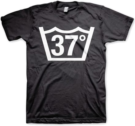 Hybris 37 Celcius Tee T-shirt Zwart