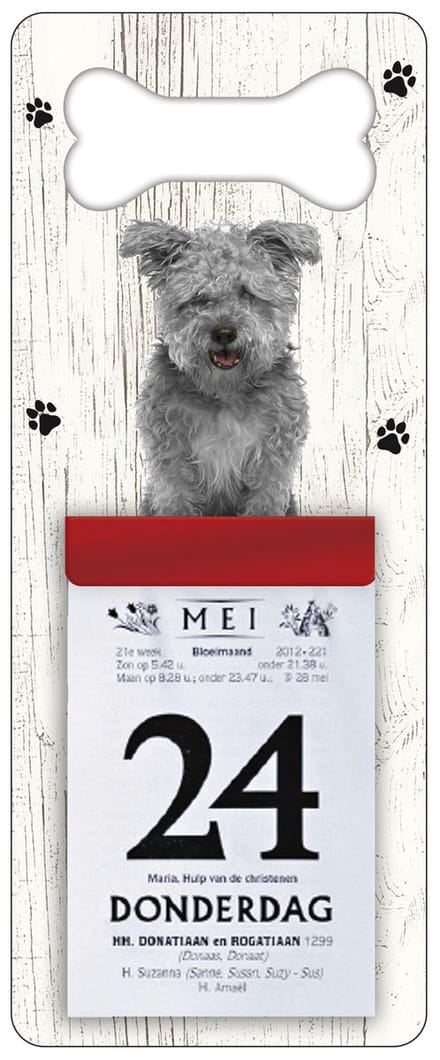 Scheurkalender 2027 Hond: Pumi