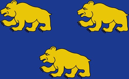 Vlag Beernem 120x180cm