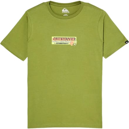 Quiksilver Specialize T-shirt Met Korte Mouwen Groen 16 Years Jongen