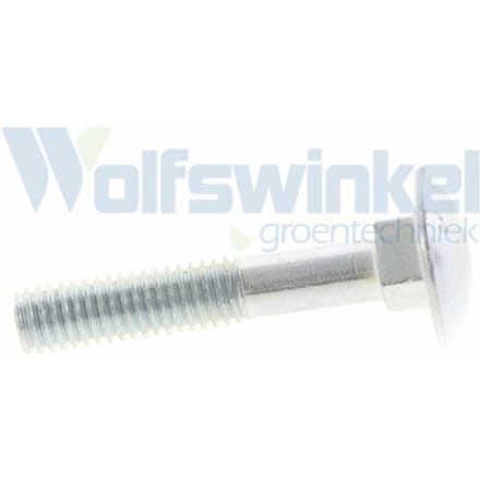 Slotbouten Verzinkt   6X 35     Din 603/555