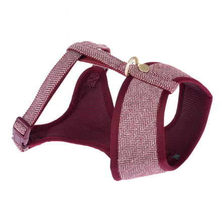 Nomad Tales Calma Tuig, Burgundy - Maat S: 32 - 46 cm Borstomvang