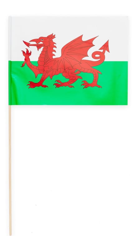 40 Papieren zwaai vlaggen 20 x 30 centimter Wales