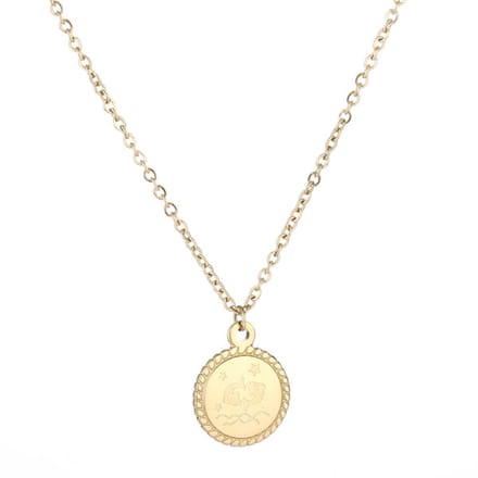 Horoscoop-Ketting-Vissen-Goud