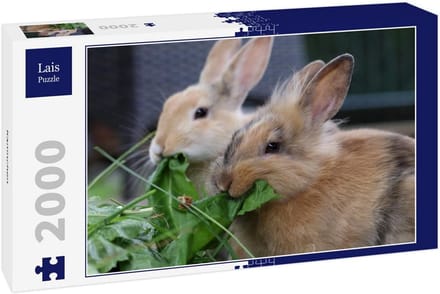 Puzzel 2000 Stukjes - Prachtige Konijnen Collectie