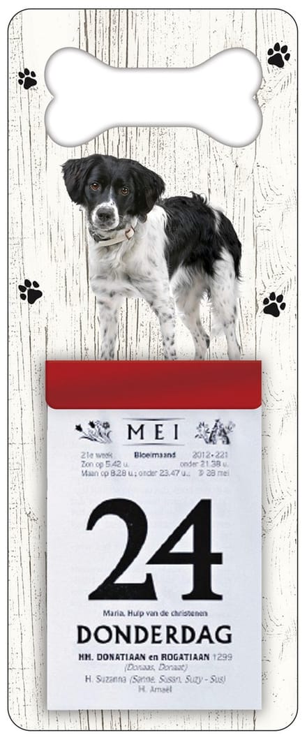 Scheurkalender 2027 Hond: Friese Stabij