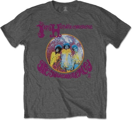 Jimi Hendrix Heren Tshirt -M- Are You Experienced Grijs
