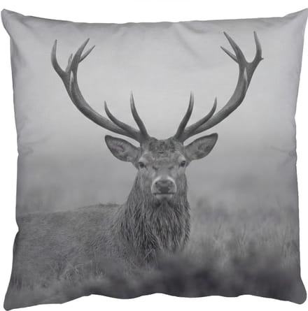 Sierkussens - Kussentjes Woonkamer - 45x45 cm - Hert - Mistig - Zwart - Wit