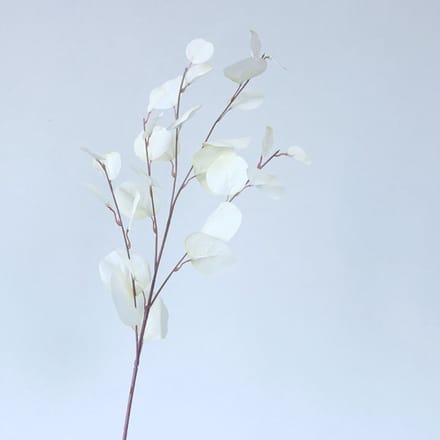 Eucalyptus tak - groot - wit - zijden bloemen - 3 stelen - onderhoudsvrij - 87 cm - kunstbloemen