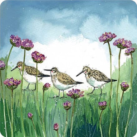 Alex Clark Onderzetters DUNLIN AND THRIFT ~ BLOEMEN EN VOGELS
