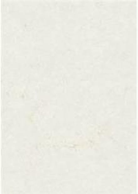 Zanders Olifantshuid Office 88001576 Din A4 110 G/MÂ² 100 Vellen Wit