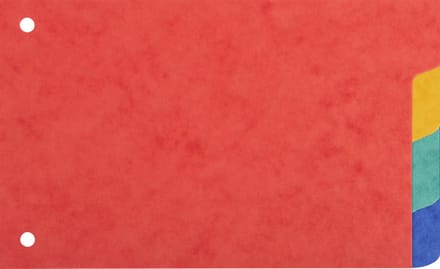 Exacompta 10x Tabbladen in gerecycleerd karton 225g - 4 tabs - 100x150mm - Geassorteerd - 604E