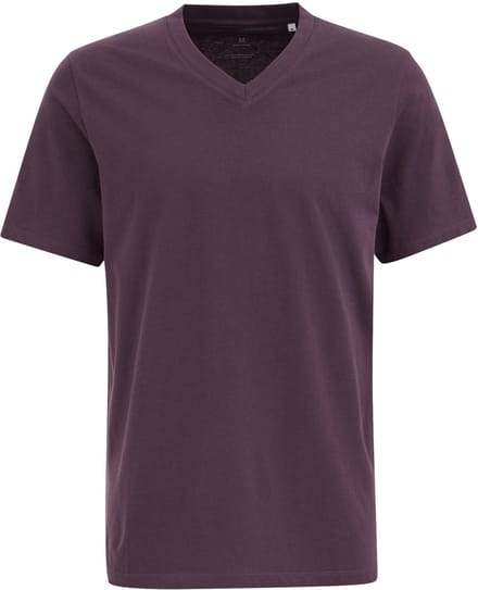 WE Fashion Heren regular fit T-shirt