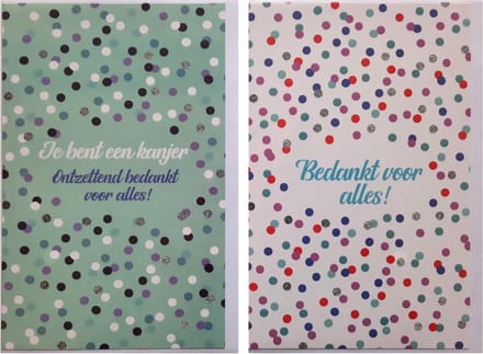 2 Wenskaarten - Bedankt voor alles + Kanjer Bedankt – 12 x 17 cm