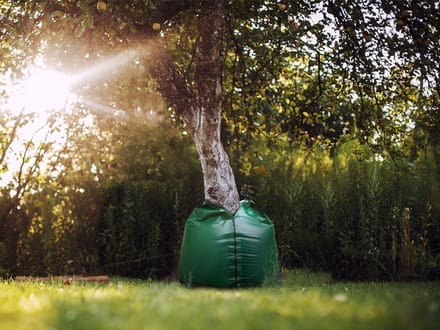 Waterzak voor Boom 56 Liter | Druppelzak met rits