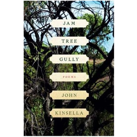 Jam Tree Gully - Kinsella, John (Cambridge Univer