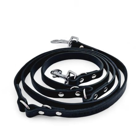 Cooper & Quint Switch Verstelbare Leren Hondenriem - Zwart - 2cm - Zilver