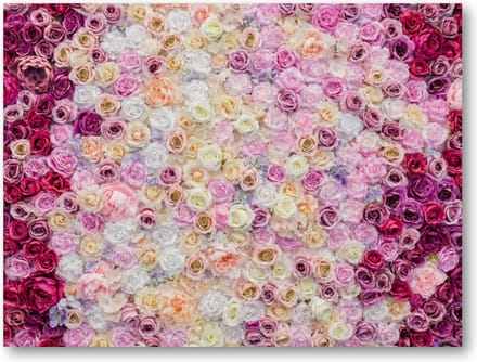 Rozenmix - 40x30 Canvas Liggend - Bloemen