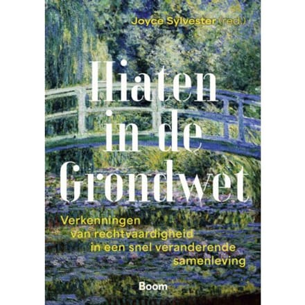 Hiaten In De Grondwet - Joyce Sylvester