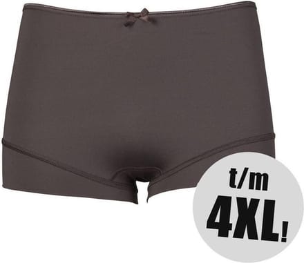 RJ P.C. L. Short Bruin XXL