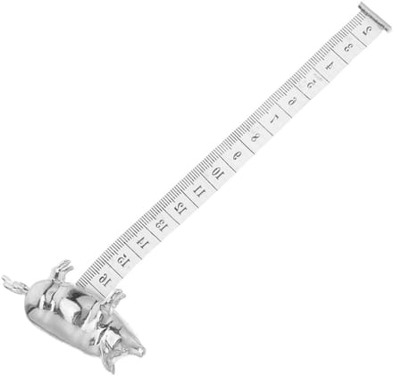 Mini Meetlint - Meetlint Rolbaar - Lichaam Meten - Dubbelzijdig - 6.5 cm - Zilver