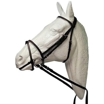 Lange voor paard gesloten en glad Hispano Hipica Inglesa