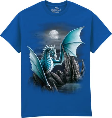 Draak Cameron Dragon The Coloured House T-shirt S