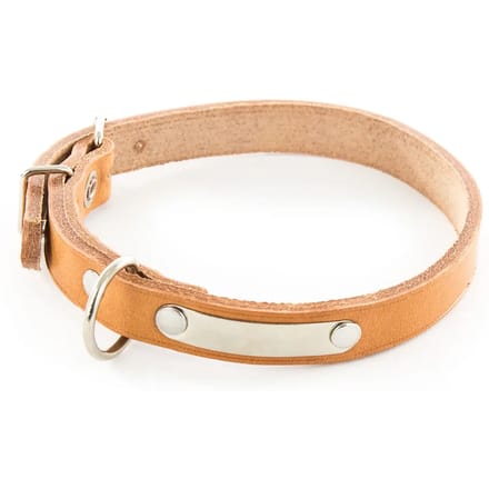 Hondenhalsband van leer met plaat Martin Sellier