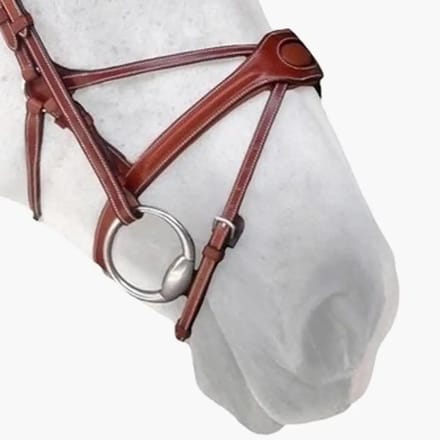 Paardenneusriem Silver Crown Spider